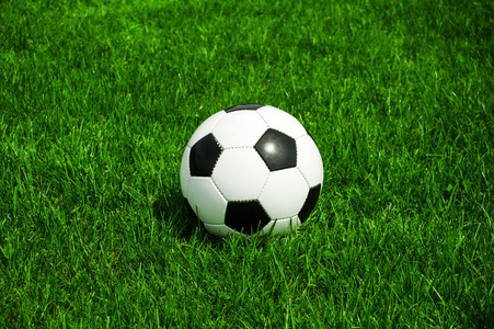 球探007论坛用户社区互动场景